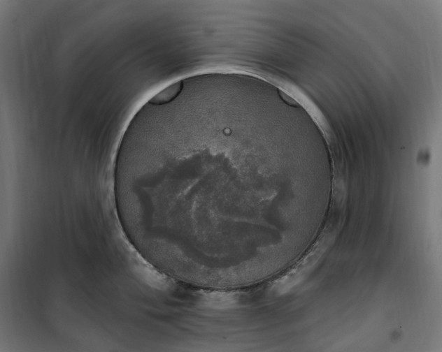 X0000100501004200806201711