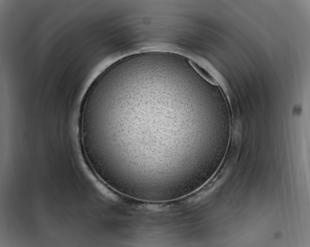 X0000100501005200806201711