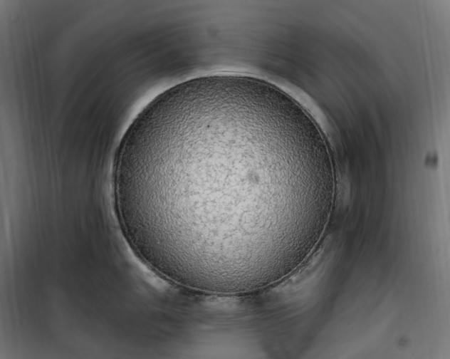 X0000100501006200806201711