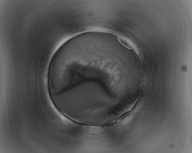 X0000100501007200806201710