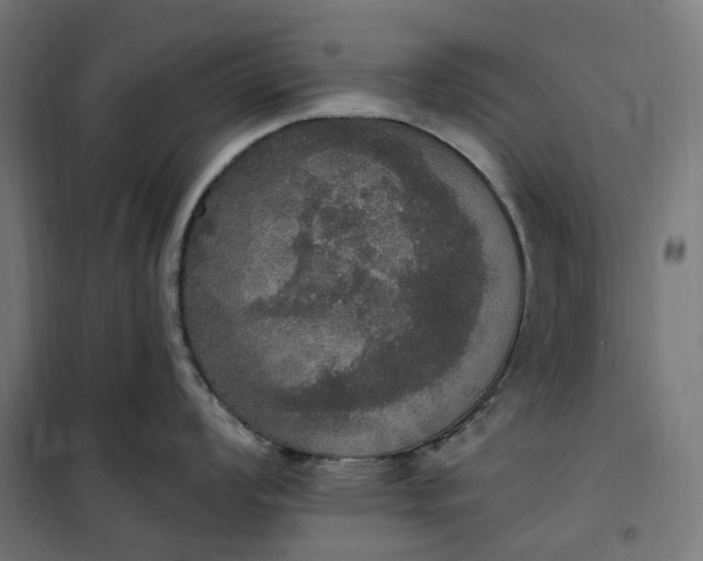 X0000100501008200806201710