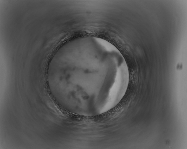 X0000100501009200806201710