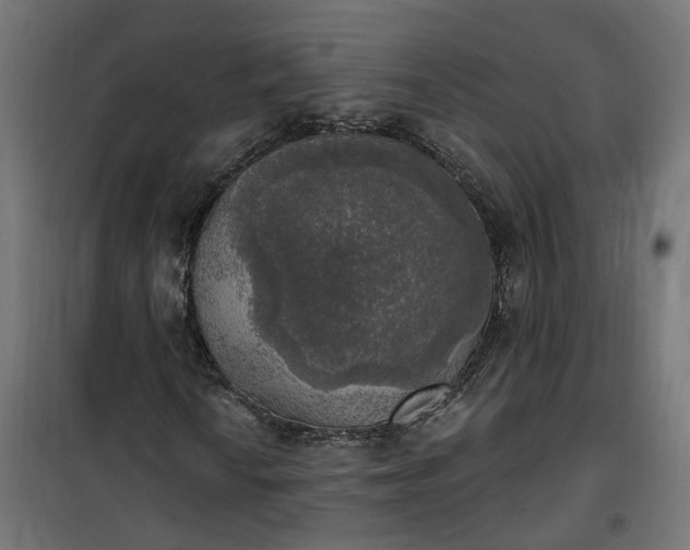 X0000100501010200806201710