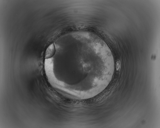 X0000100501011200806201710