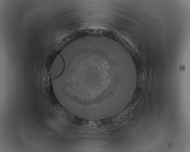 X0000100501013200806201710