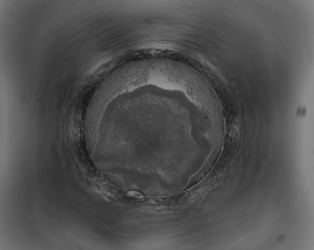 X0000100501014200806201710