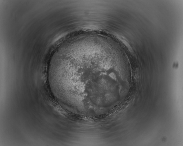 X0000100501015200806201710