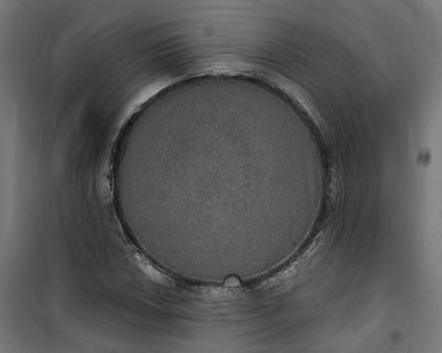 X0000100501018200806201710