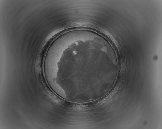 X0000100501019200806201710