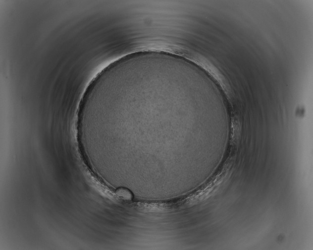 X0000100501020200806201710