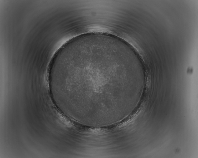 X0000100501022200806201710