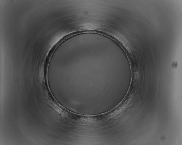 X0000100501023200806201710