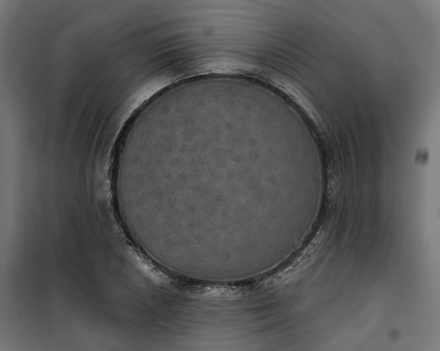 X0000100501026200806201710