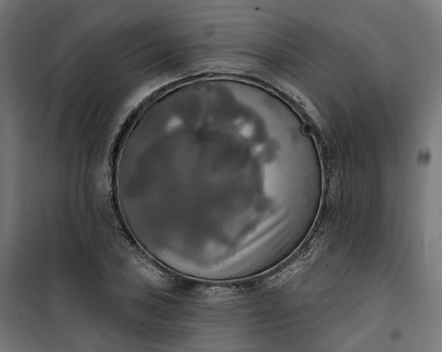 X0000100501027200806201710