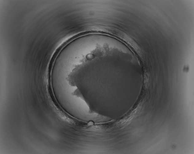 X0000100501028200806201710