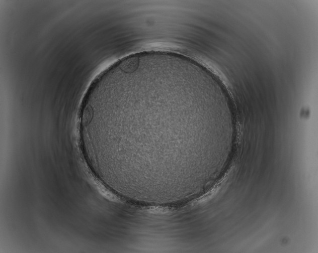 X0000100501029200806201710