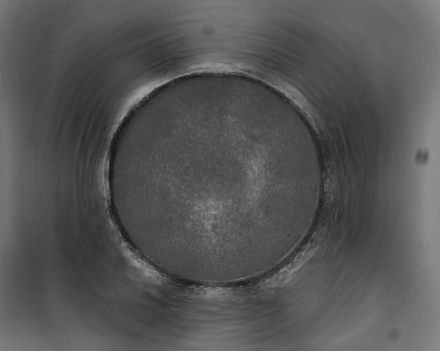 X0000100501030200806201710