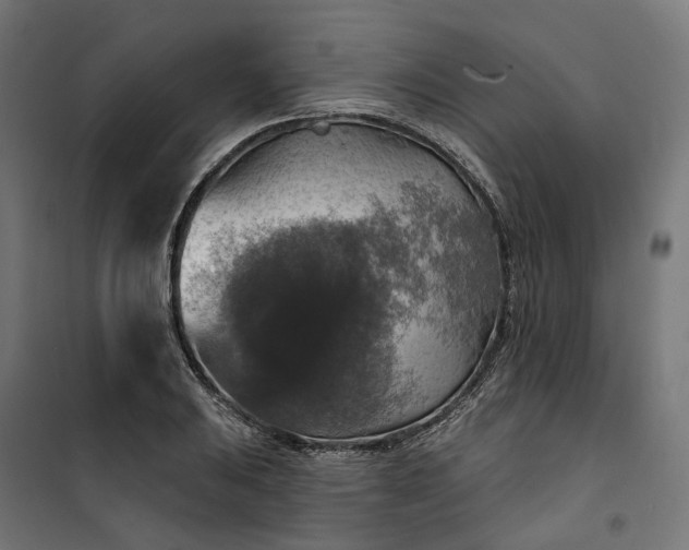 X0000100501031200806201710