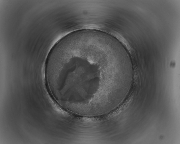 X0000100501032200806201710