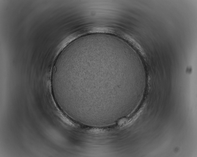 X0000100501033200806201710