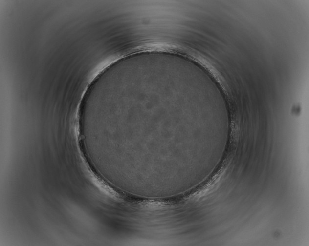 X0000100501034200806201710