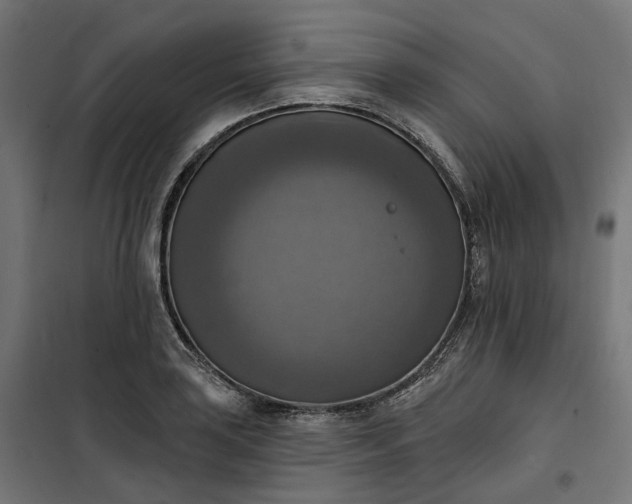 X0000100501035200806201710