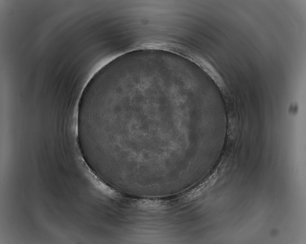 X0000100501036200806201710