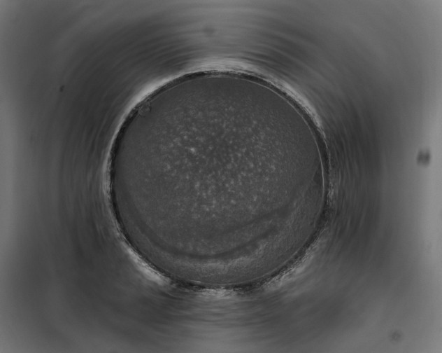 X0000100501037200806201710