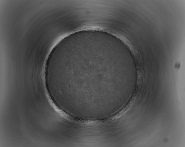 X0000100501038200806201710