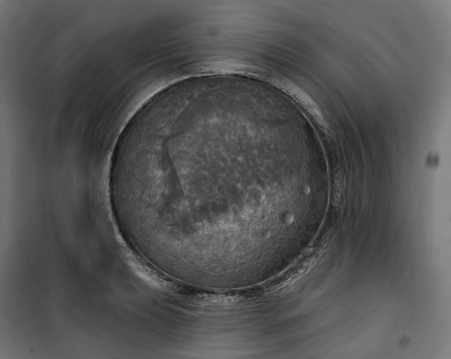 X0000100501039200806201710