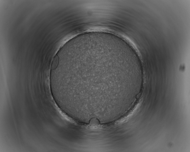 X0000100501041200806201710