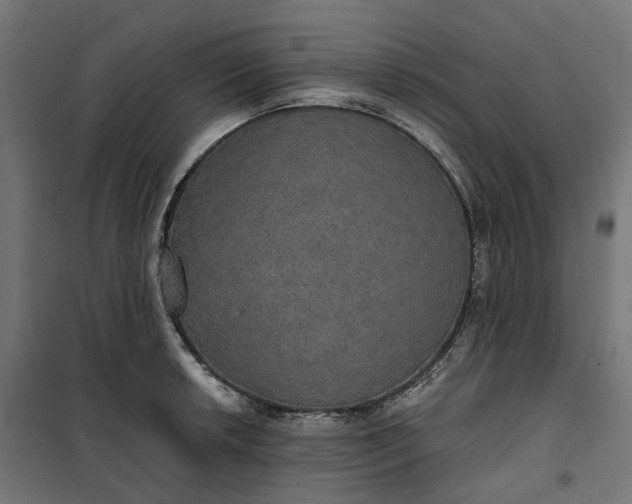 X0000100501042200806201710