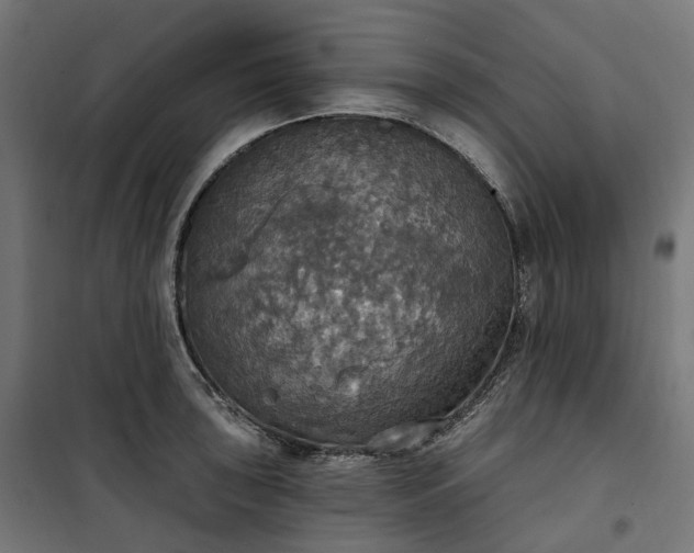 X0000100501043200806201710