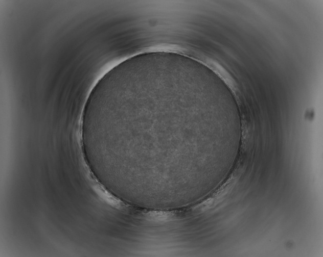 X0000100501044200806201710