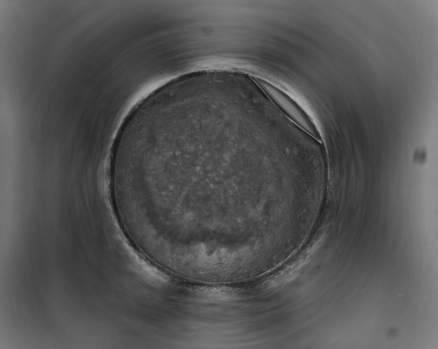 X0000100501045200806201710