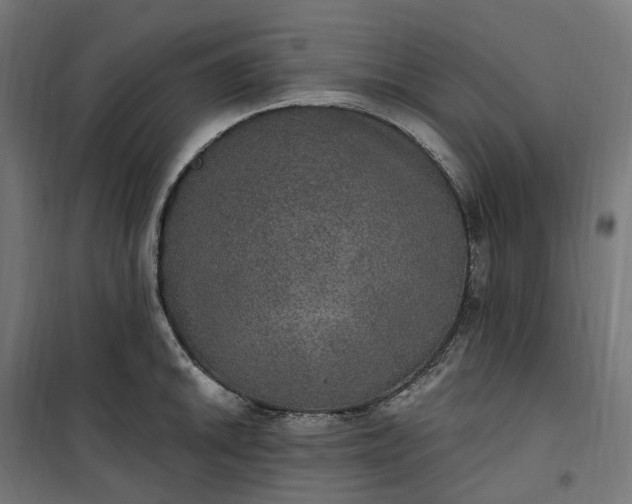 X0000100501046200806201710