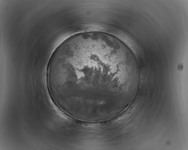 X0000100501047200806201710