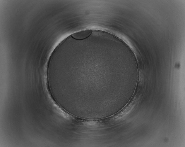 X0000100501048200806201710