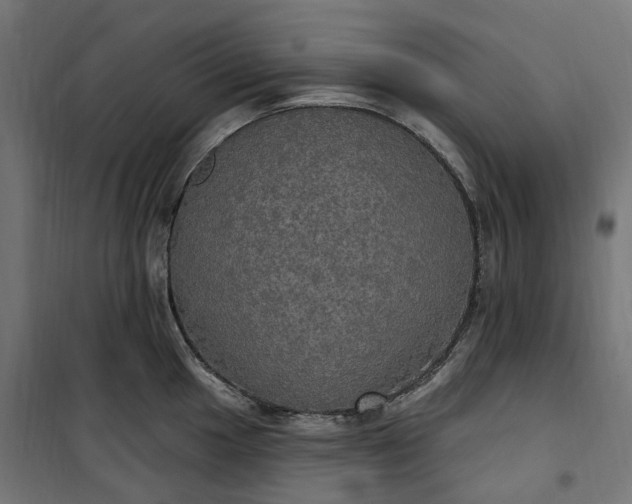 X0000100501049200806201710