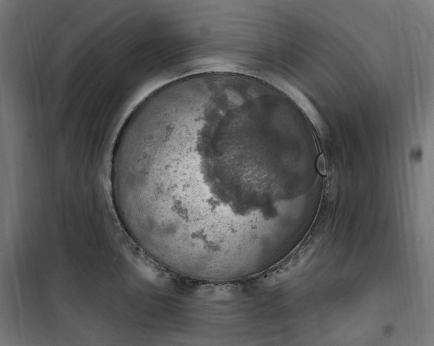 X0000100501051200806201710