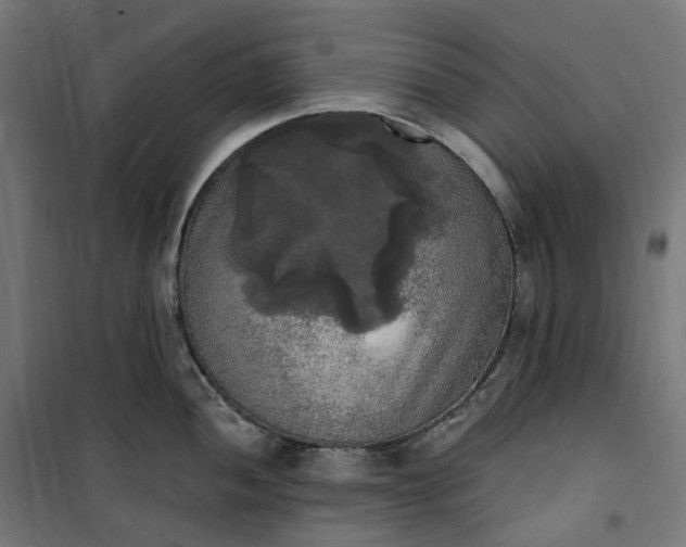 X0000100501052200806201710