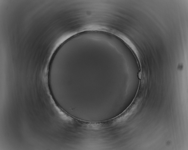 X0000100501053200806201710