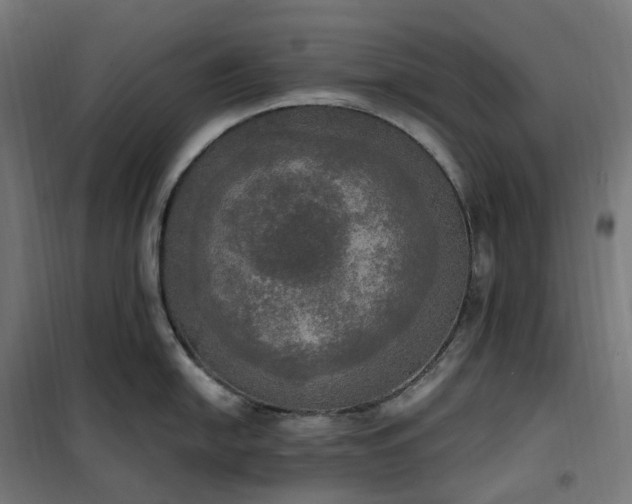 X0000100501054200806201710