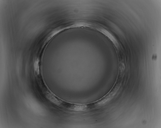 X0000100501055200806201710