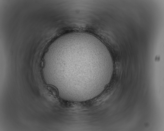 X0000100501057200806201710