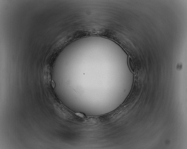 X0000100501058200806201710