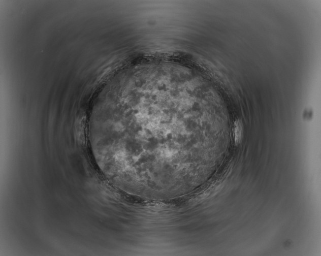 X0000100501059200806201710