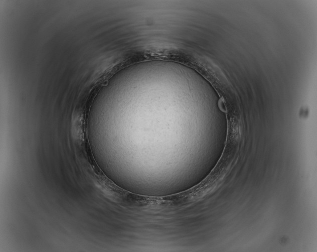 X0000100501060200806201710