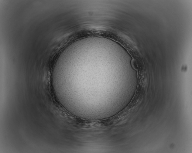 X0000100501061200806201710