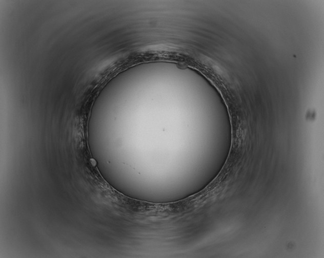 X0000100501062200806201710